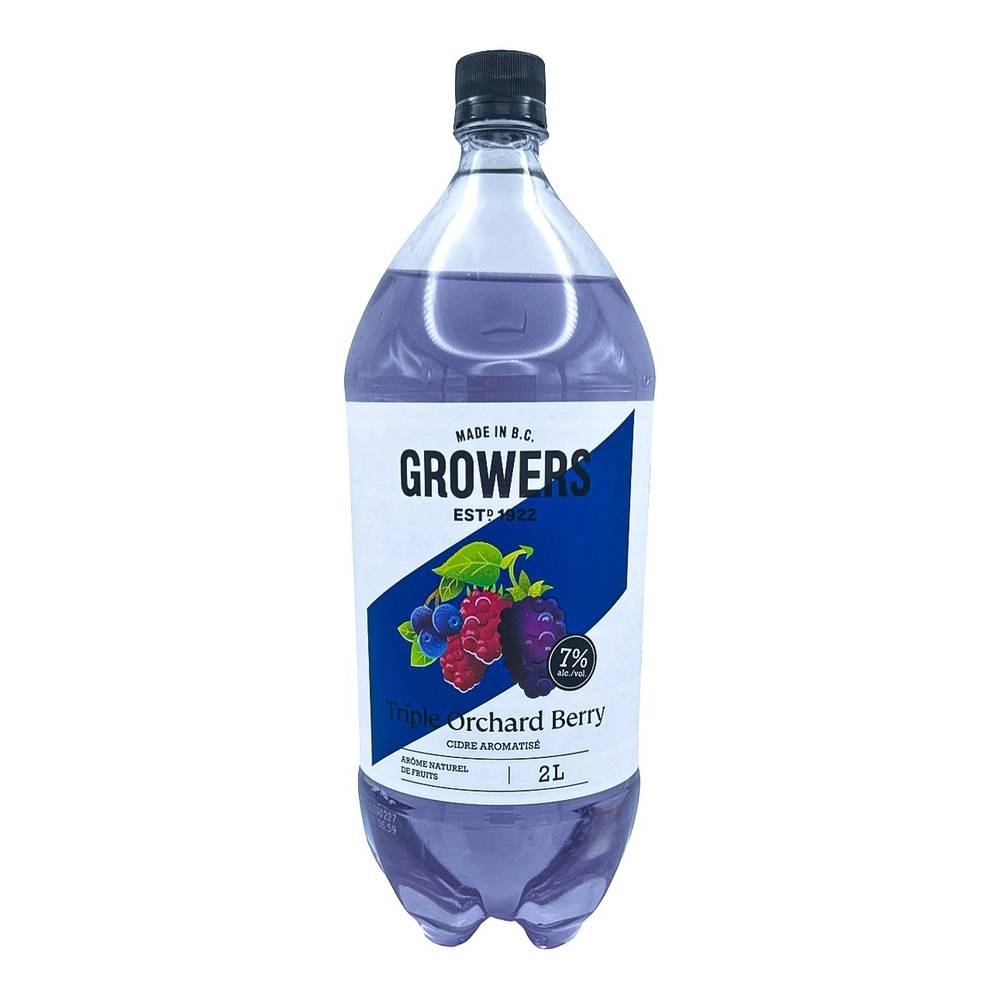 Grower's Cider Bottle, Triple Orchard Berry (2 L)